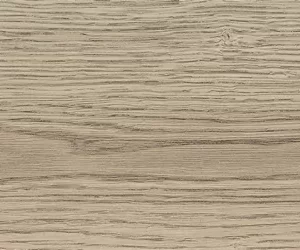 Гранит керамический Texaс GT54VGNG