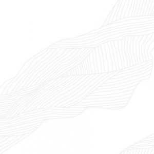 Блисс 6260-0072