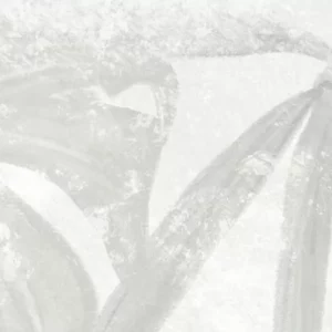 Central Park K-702/MR