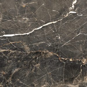 Maximus GT408013305MCR