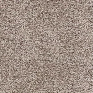 Ковровое покрытие SAN-MARINO 1035 3 м